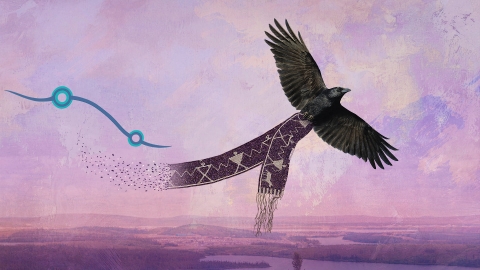 Une illustration repr&eacute;sentant un corbeau en vol tenant un wampum dans ses serres.